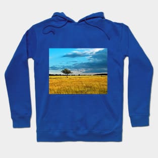 RURAL IDYLL Hoodie